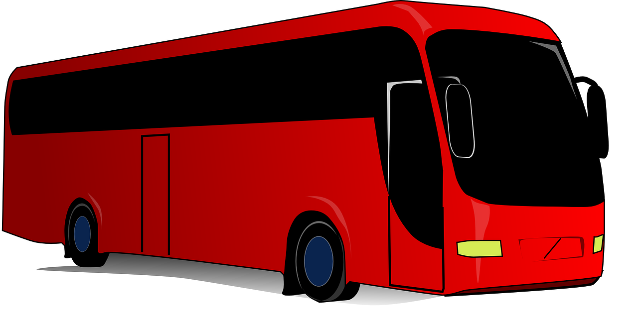 bus