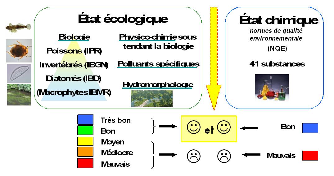 Graphique bon etat